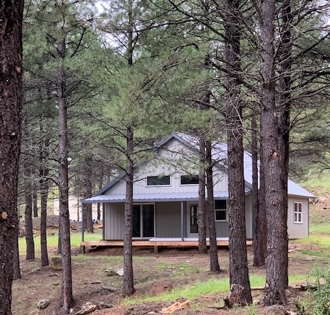 Forest Cabin